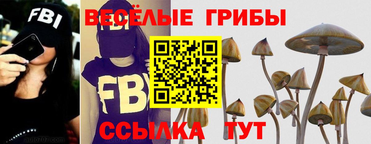 Псилоцибиновые грибы Psilocybe  Вход с VPN  Красноуфимск 